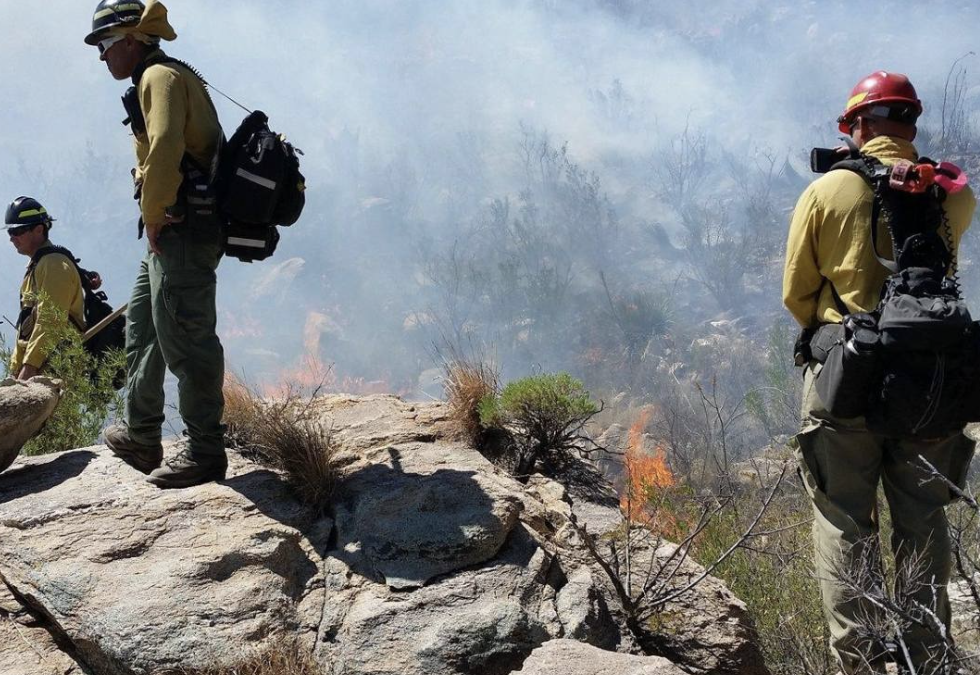 National Wildland Firefighter Day